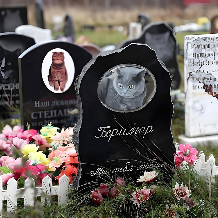 Mitkä räätälöintivaihtoehdot nostavat PET -muistolaakkeja perusnimien ulkopuolella?